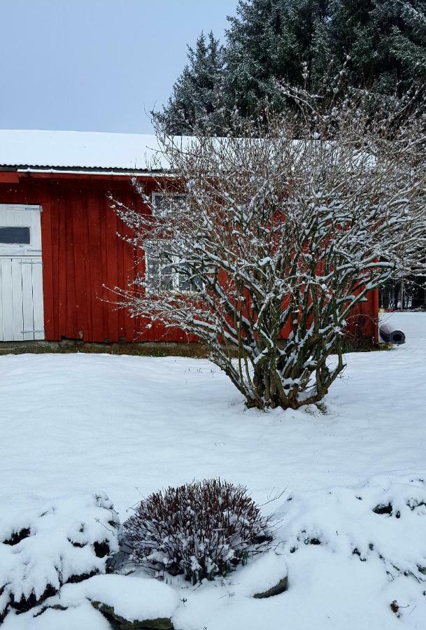 Ferienwohnung Kjorsvik Ovre Tornes Exterior foto