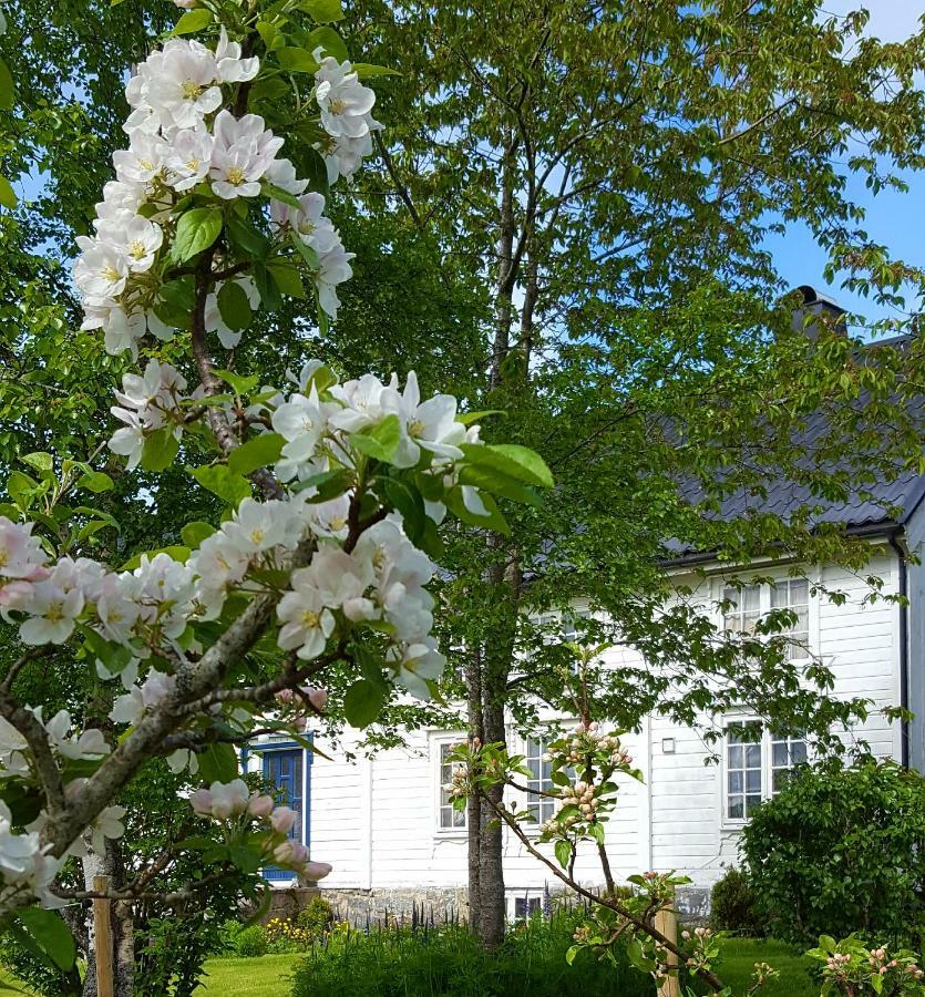 Ferienwohnung Kjorsvik Ovre Tornes Exterior foto